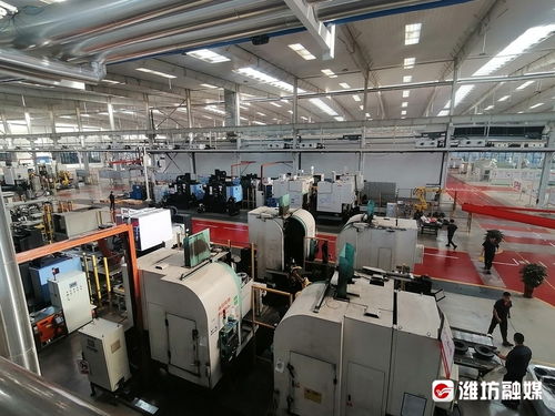 鏈長賦能，鏈主領航 昌邑市以鋰電池產業為引擎推動經濟高質量發展