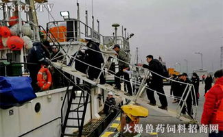 2019開門紅 橫沙國際漁港喜迎年度首艘外輪，助力畜牧漁業飼料銷售